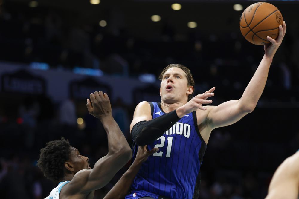 教练和球迷 教练和球迷